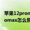 苹果12promax恢复出厂设置（iPhone13promax怎么恢复出厂设置）