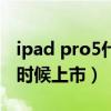 ipad pro5什么时候上市的（iPad Pro5什么时候上市）