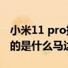 小米11 pro振动马达跟苹果12（小米12搭载的是什么马达）
