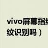 vivo屏幕指纹有几款（vivoS10Pro是屏幕指纹识别吗）