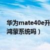 华为mate40e升级鸿蒙有必要吗（华为mate40e可以升级鸿蒙系统吗）