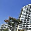 现房是已经建设完成可以直接交付的房子