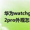 华为watchgt2pro 升级鸿蒙（华为watchgt2pro外观怎么样）
