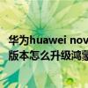 华为huawei nova 8可以升级什么版本（华为nova8pro 4g版本怎么升级鸿蒙系统）