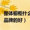 整体橱柜什么牌子比较好啊（我想问橱柜那个品牌的好）