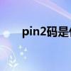 pin2码是什么东西（PIN2码是什么）