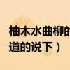 柚木水曲柳的优缺点（柚木好还是水曲柳好知道的说下）