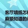 客厅墙纸怎样搭配漂亮 大厅贴什么墙纸好看麻烦知道的说下 