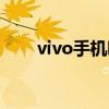 vivo手机哪款好用性价比高（vivo）