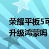 荣耀平板5可以升级鸿蒙吗(荣耀平板7可以升级鸿蒙吗) 荣耀平板5可以升级鸿蒙吗(荣耀平板7可以升级鸿蒙吗)