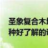 圣象复合木地板多少钱一平方 圣象木地板那种好了解的说下 