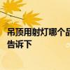 吊顶用射灯哪个品牌性价比高 吊顶射灯哪个牌子好知道的亲告诉下 
