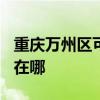 重庆万州区可提供TCL中央空调维修服务地址在哪