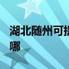 湖北随州可提供TCL中央空调维修服务地址在哪