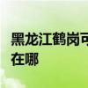 黑龙江鹤岗可提供约克中央空调维修服务地址在哪