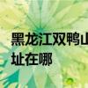 黑龙江双鸭山可提供天加中央空调维修服务地址在哪
