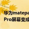 华为matepadpro屏幕有绿边 华为MatePadPro屏幕变成黑白色怎么办 