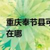 重庆奉节县可提供约克中央空调维修服务地址在哪