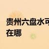 贵州六盘水可提供约克中央空调维修服务地址在哪
