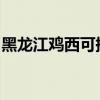 黑龙江鸡西可提供统帅冰箱维修服务地址在哪