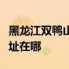黑龙江双鸭山可提供东芝中央空调维修服务地址在哪
