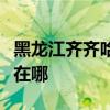 黑龙江齐齐哈尔可提供东芝冰箱维修服务地址在哪