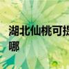 湖北仙桃可提供特灵中央空调维修服务地址在哪
