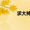 求大神解答海口哪里有灯具城