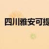 四川雅安可提供容声冰箱维修服务地址在哪