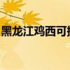 黑龙江鸡西可提供松下冰箱维修服务地址在哪