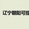 辽宁朝阳可提供松下冰箱维修服务地址在哪