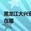 黑龙江大兴安岭可提供海尔冰箱维修服务地址在哪