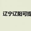 辽宁辽阳可提供威力冰箱维修服务地址在哪