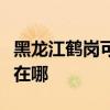 黑龙江鹤岗可提供格兰仕洗衣机维修服务地址在哪