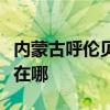 内蒙古呼伦贝尔可提供科龙冰箱维修服务地址在哪