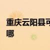 重庆云阳县可提供三洋洗衣机维修服务地址在哪
