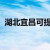 湖北宜昌可提供SKG冰箱维修服务地址在哪