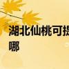 湖北仙桃可提供格兰仕洗衣机维修服务地址在哪