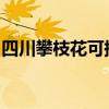 四川攀枝花可提供威力冰箱维修服务地址在哪