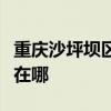 重庆沙坪坝区可提供博世洗衣机维修服务地址在哪