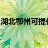 湖北鄂州可提供三洋洗衣机维修服务地址在哪