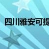 四川雅安可提供SKG冰箱维修服务地址在哪
