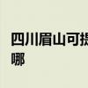 四川眉山可提供菲斯曼壁挂炉维修服务地址在哪