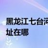 黑龙江七台河可提供格兰仕洗碗机维修服务地址在哪