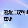 黑龙江双鸭山可提供火王壁挂炉维修服务地址在哪