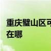 重庆璧山区可提供德地氏壁挂炉维修服务地址在哪