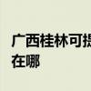 广西桂林可提供瑰都啦咪壁挂炉维修服务地址在哪