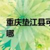 重庆垫江县可提供博世洗碗机维修服务地址在哪