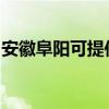 安徽阜阳可提供能率壁挂炉维修服务地址在哪