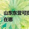 山东东营可提供瑰都啦咪壁挂炉维修服务地址在哪